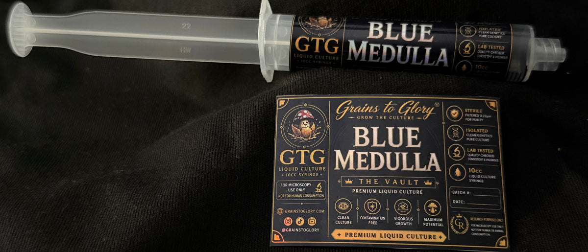 Blue Medullas | Isolated LC Syringe