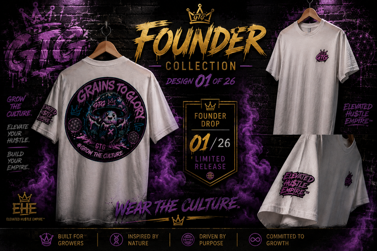 💎Founder Collection