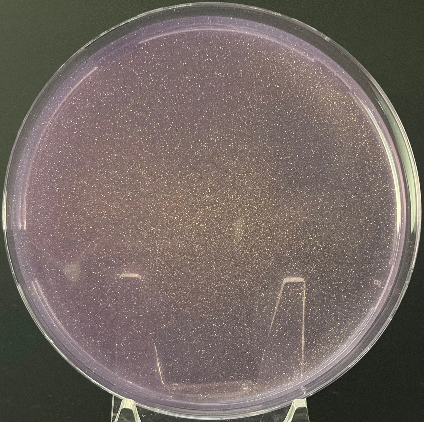 GTG Pre-Poured LME Agar Plates — 90 mm