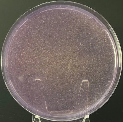 GTG Pre-Poured LME Agar Plates — 90 mm