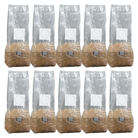 10pcs High-Yield Mushroom Cultivation Bags PP Sterilized Hydrated Grain Bag Filter Patch Substrate Mushroom Spawns Bag